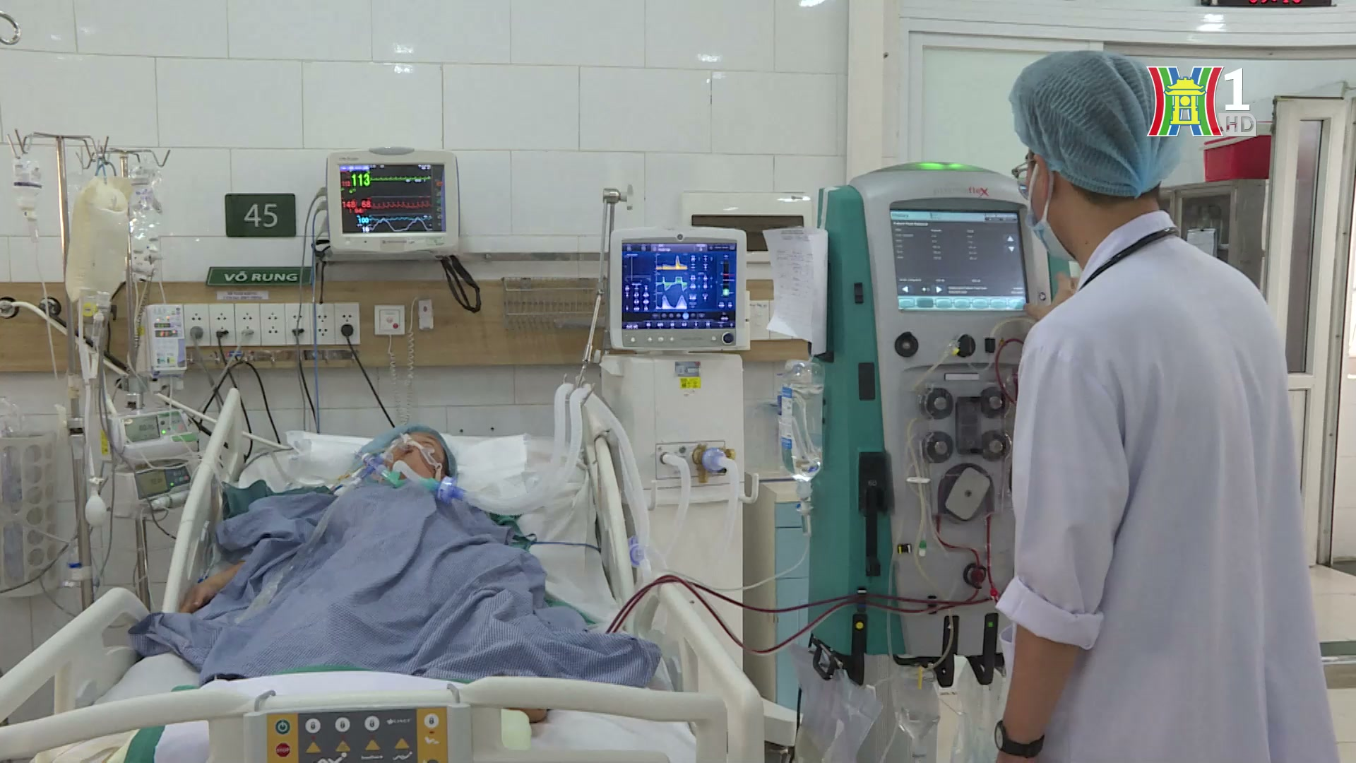 Cảnh báo ngộ độc từ nấm rừng | Sức khỏe cộng đồng | 26/04/2025